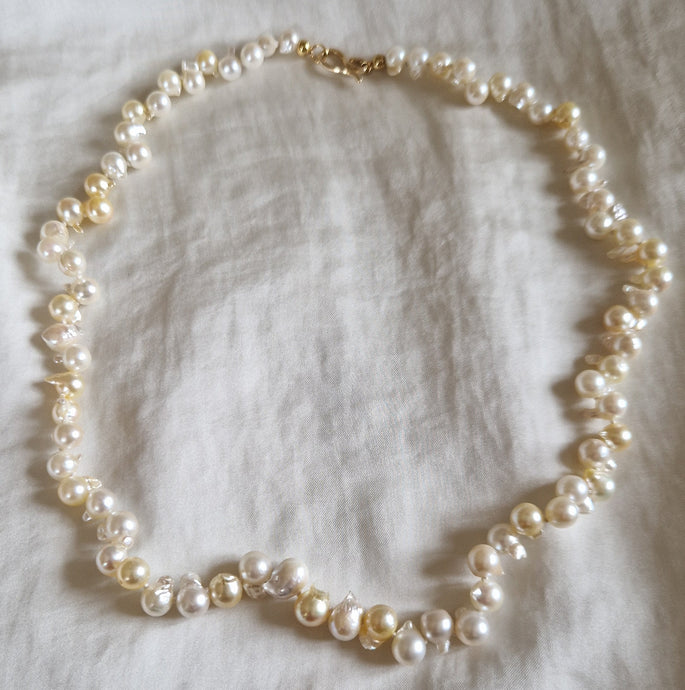 Popcorn Golden collier