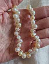 Load image into Gallery viewer, Popcorn Golden collier