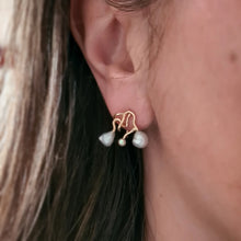 Load image into Gallery viewer, Fairytale earrings, pair