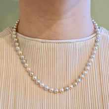 Load image into Gallery viewer, Akoya multi collier